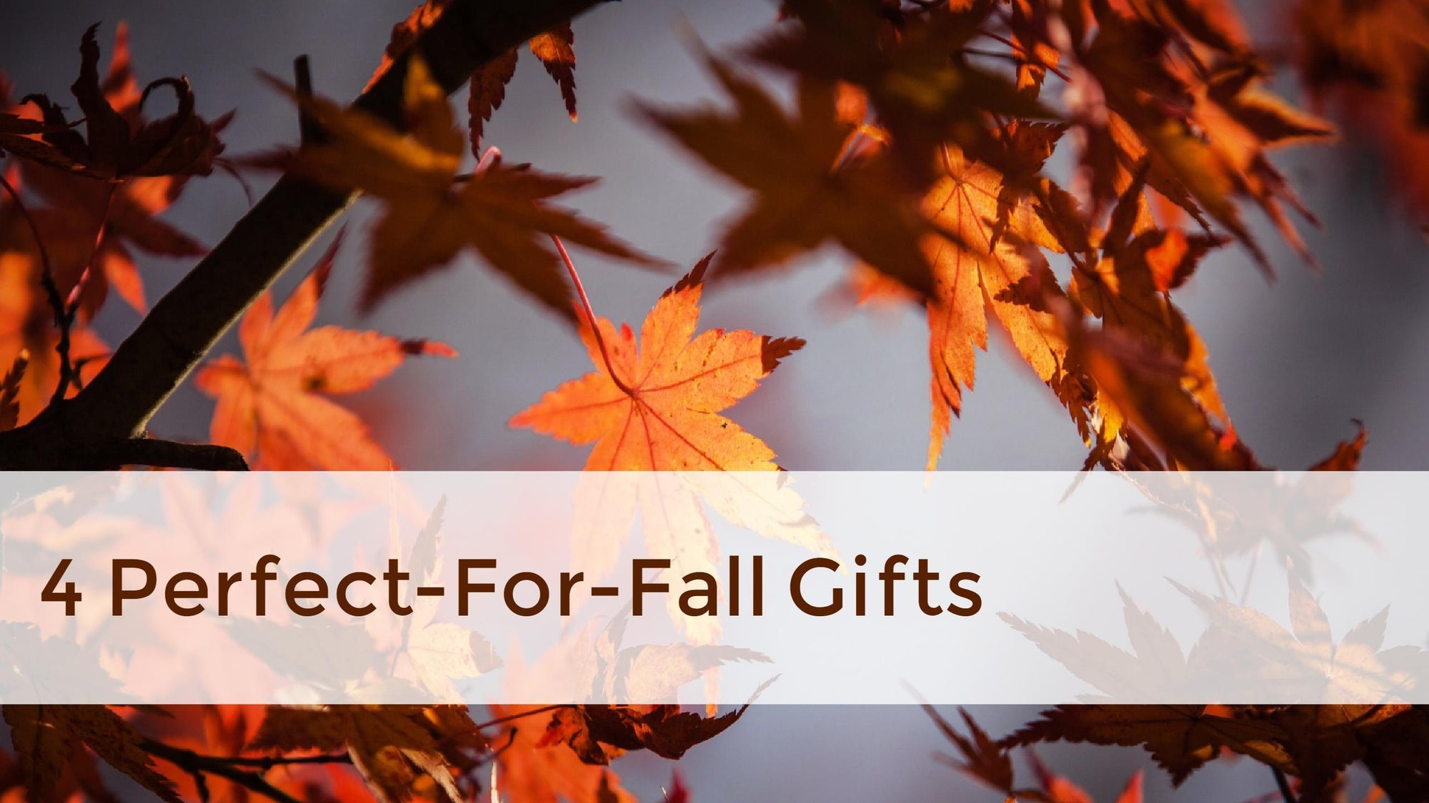 4 Perfect-for-Fall Gifts