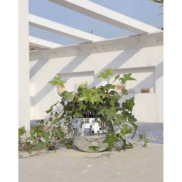 hanging disco planter Eclectic Whimsical Disco Ball Hanging Herb Planters for Indoor, Outdoo