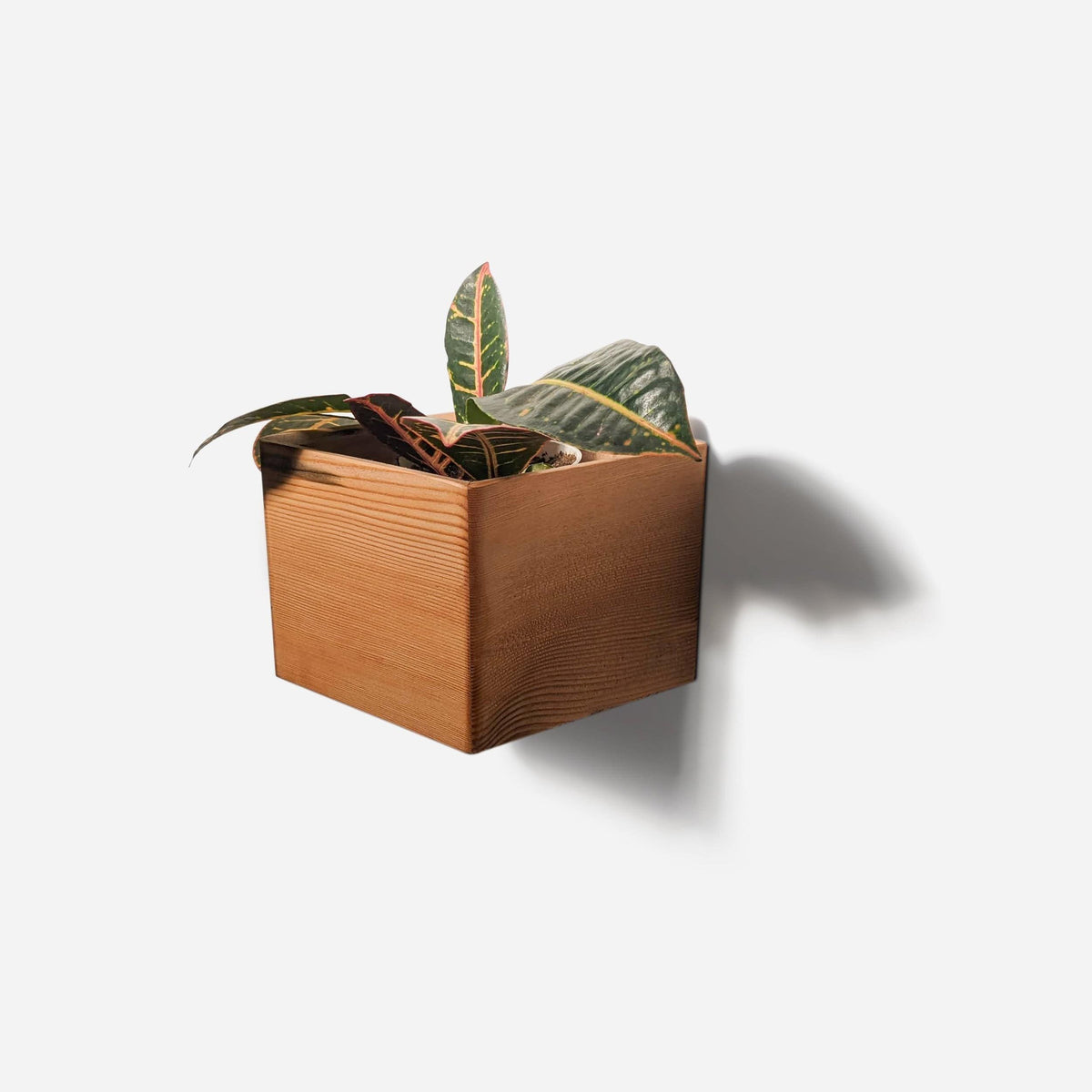 Formr Bling (4&quot; pot) / Natural / One Diamond Self-Watering, Wall-Mounted Planter by Formr