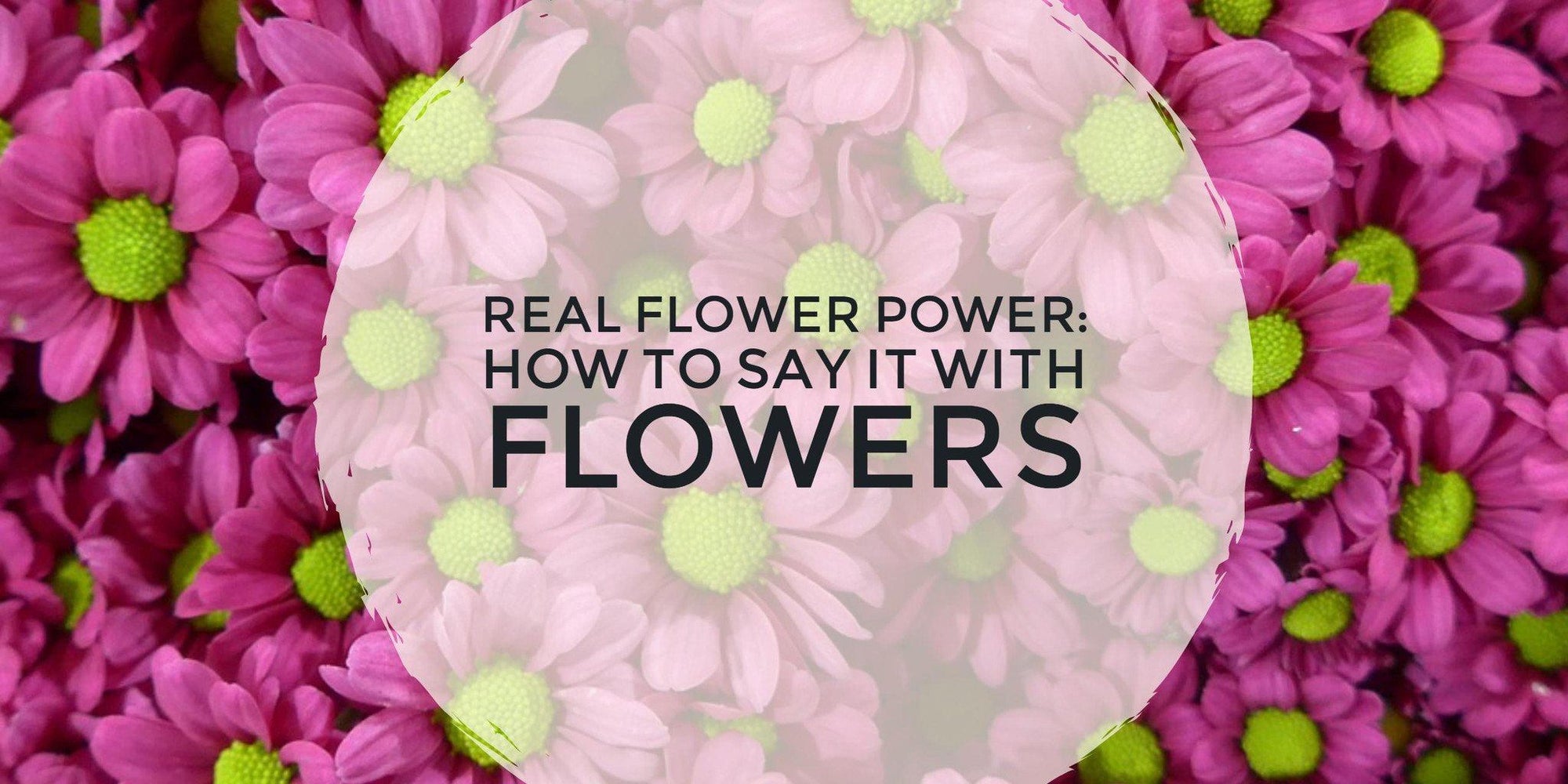 Say It With Flowers!
