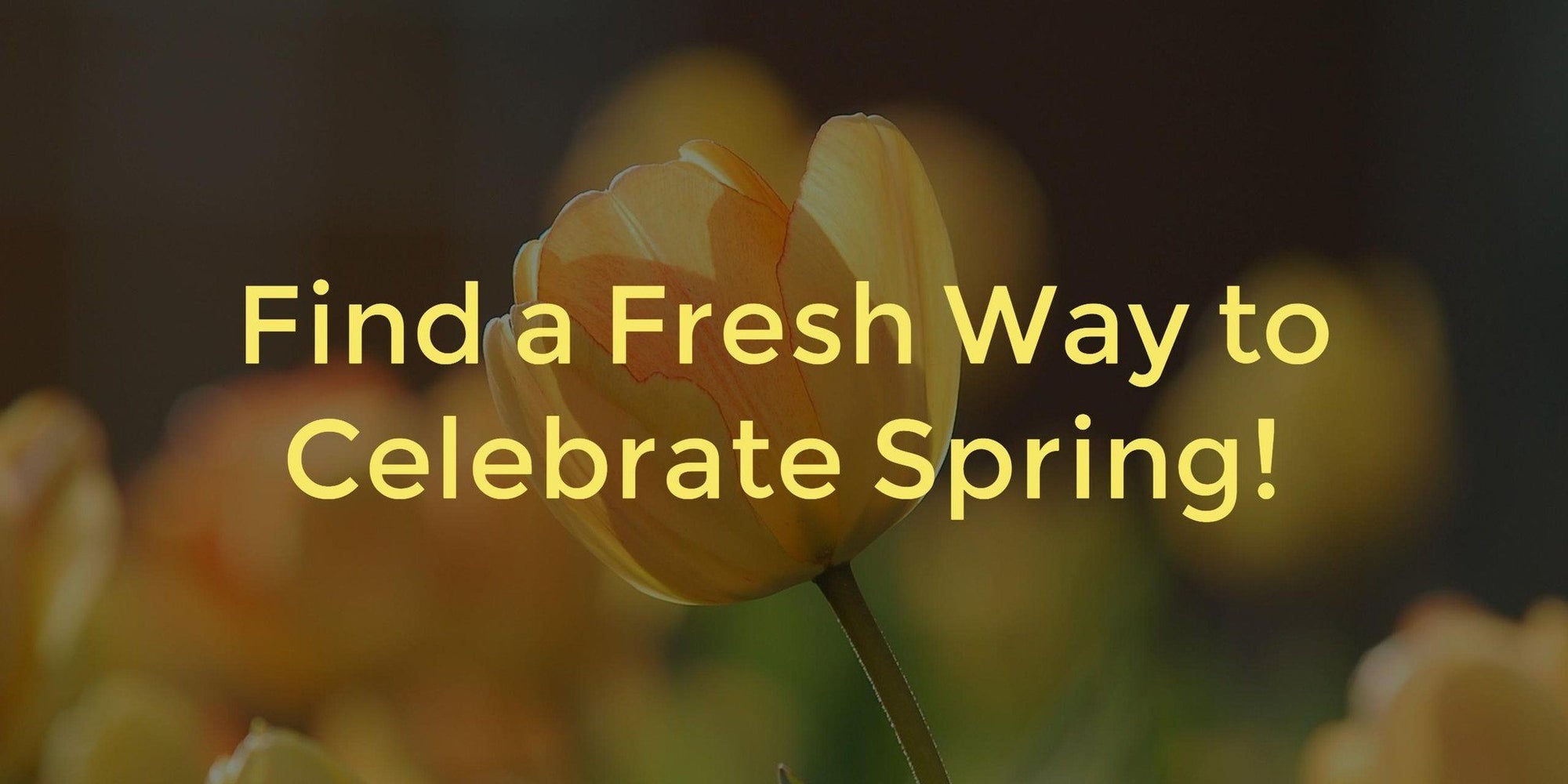 5 Fun Ways to Celebrate Spring!