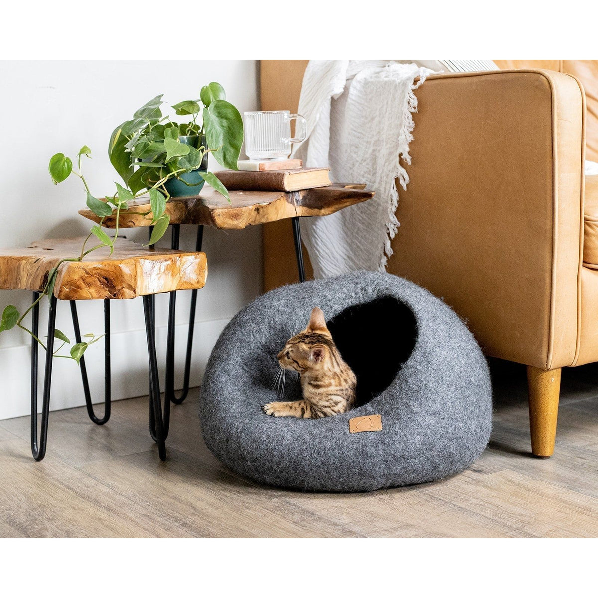 Stone Gray | Round Style Cave by Fuzzy Cove