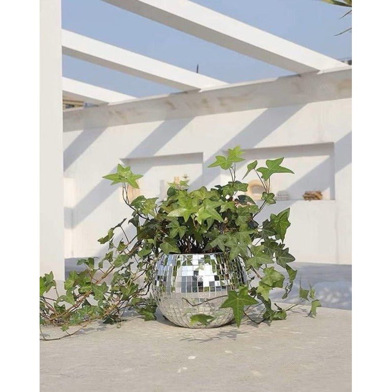 hanging herb garden planter Disco Ball Hanging Planter Medium: φ15 * 13cm