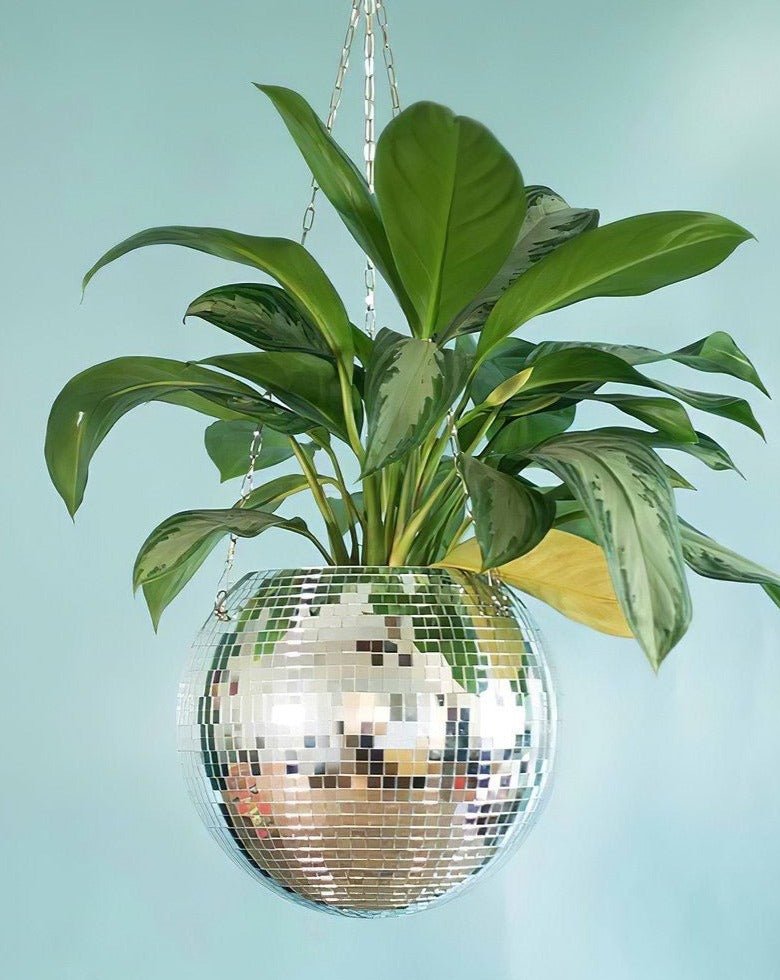 Eclectic Whimsical Disco Ball Hanging Herb Planters for Indoor, Outdoor &amp; Front yard by INSPECIAL HOME