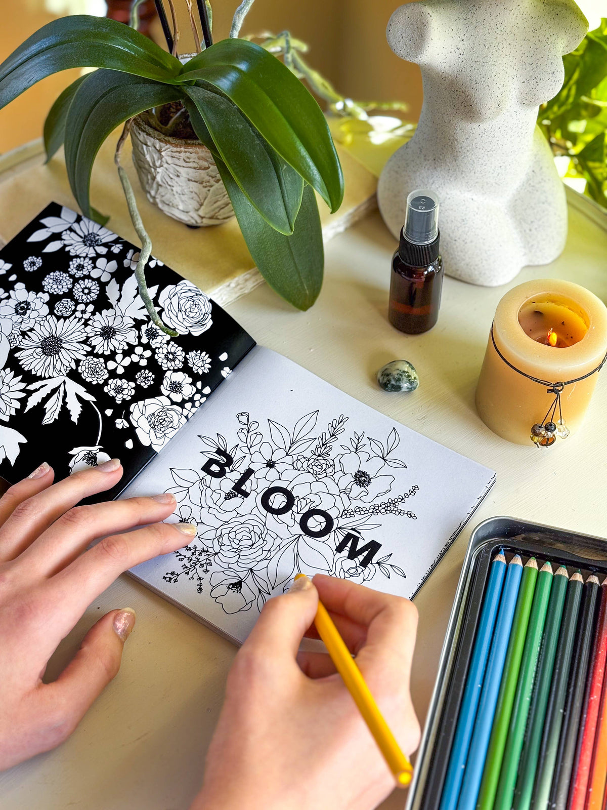 Bloom Mini Floral Adult Coloring Book