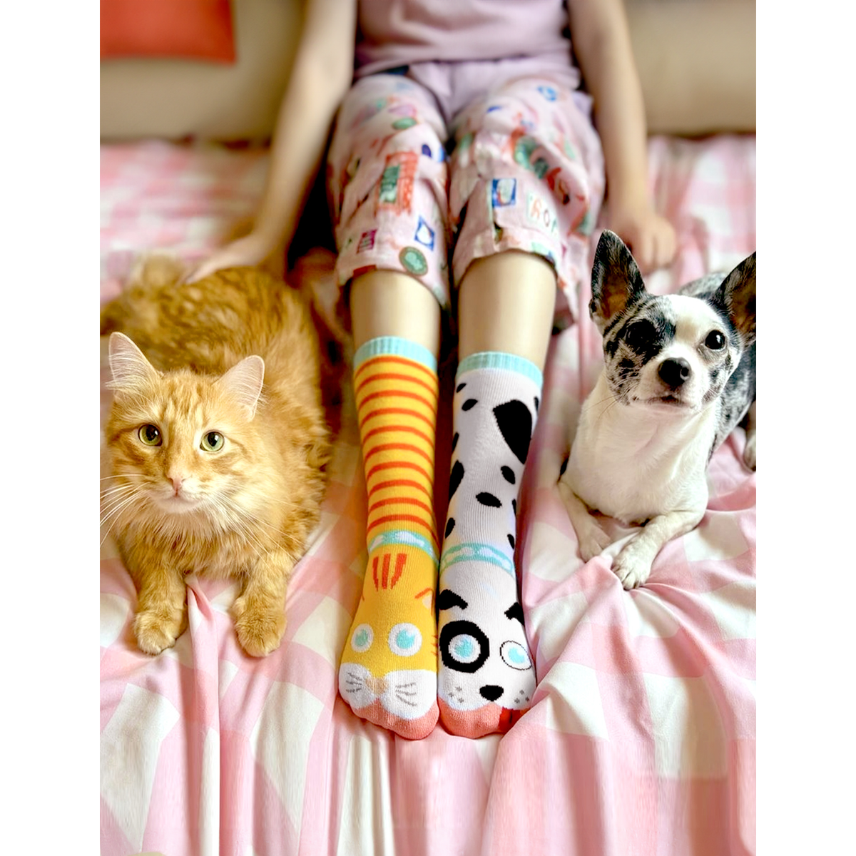 ADULT CAT &amp; DOG SOCKS