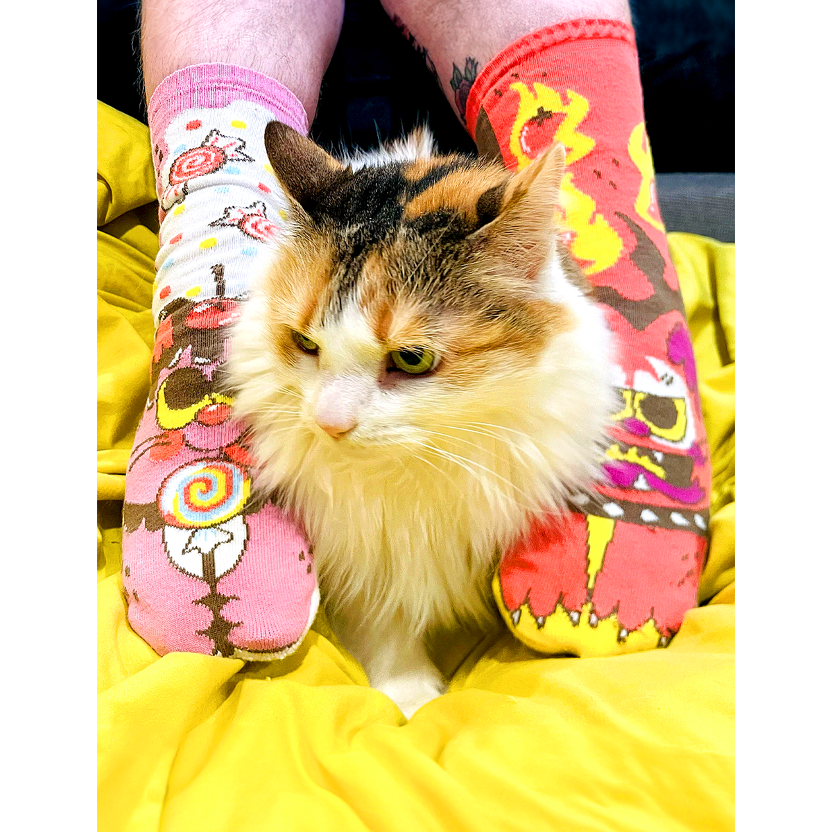 ADULT PURRTY SWEET &amp; FELINE SPICY SOCKS