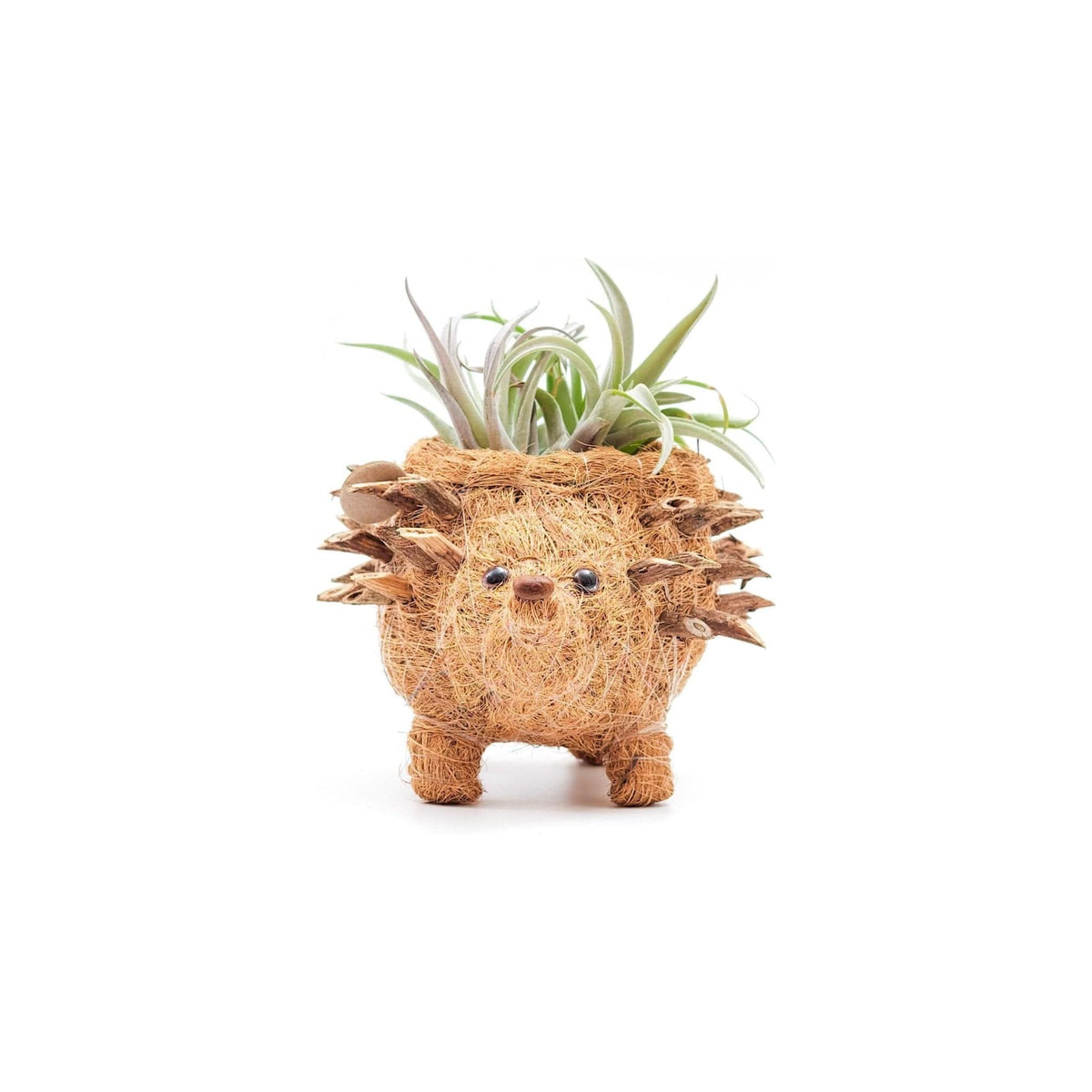 LIKHÂ Baby Hedgehog Plant Pot - Handmade Planters | LIKHÂ by LIKHÂ
