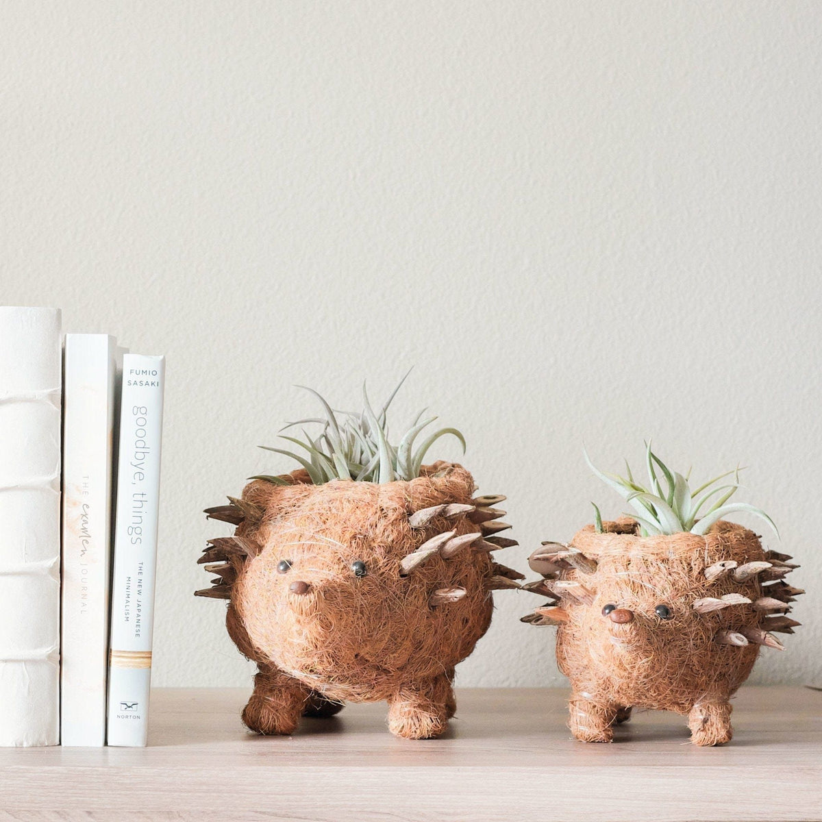 LIKHÂ Baby Hedgehog Plant Pot - Handmade Planters | LIKHÂ by LIKHÂ