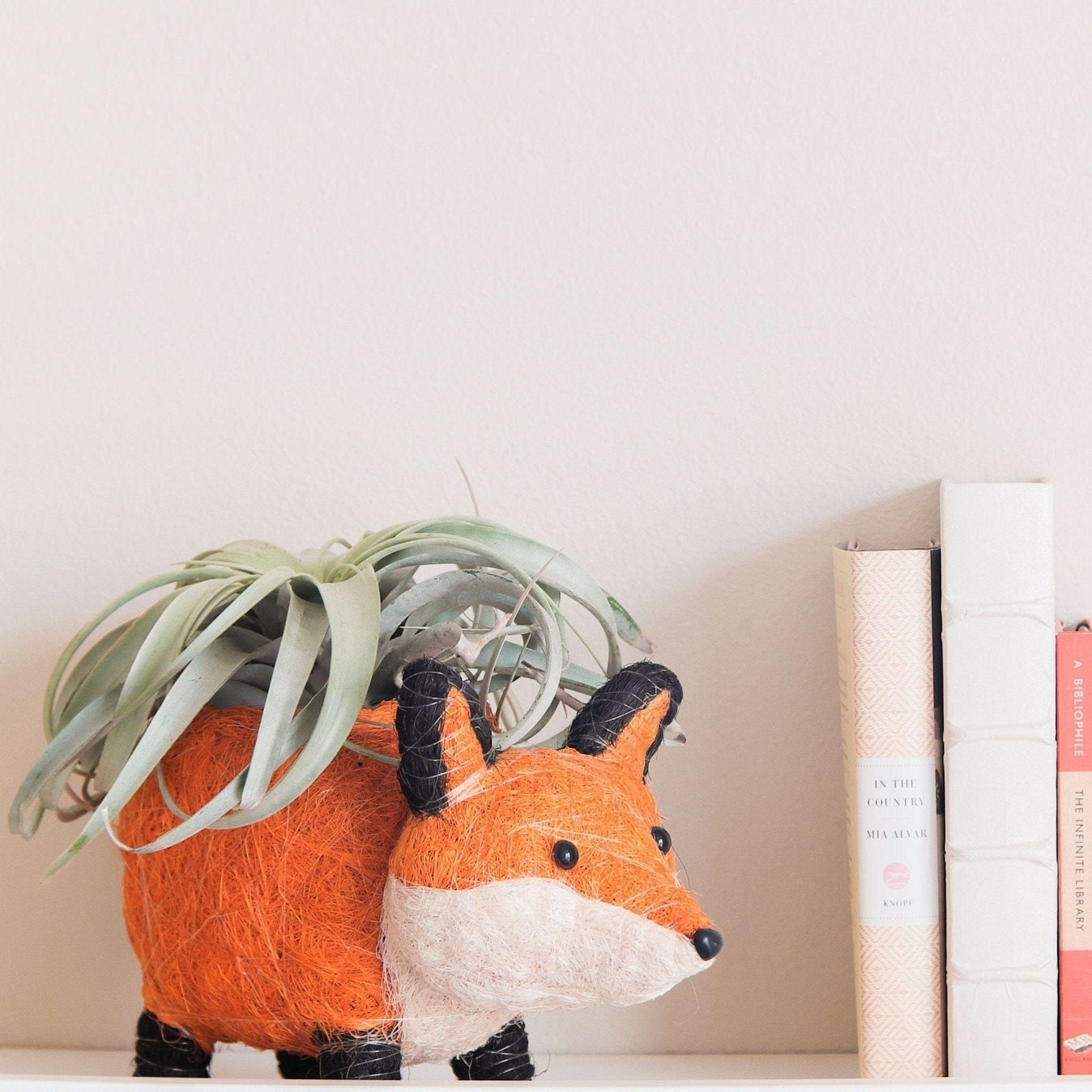 LIKHÂ Fox Planter - Coir Planters | LIKHÂ by LIKHÂ