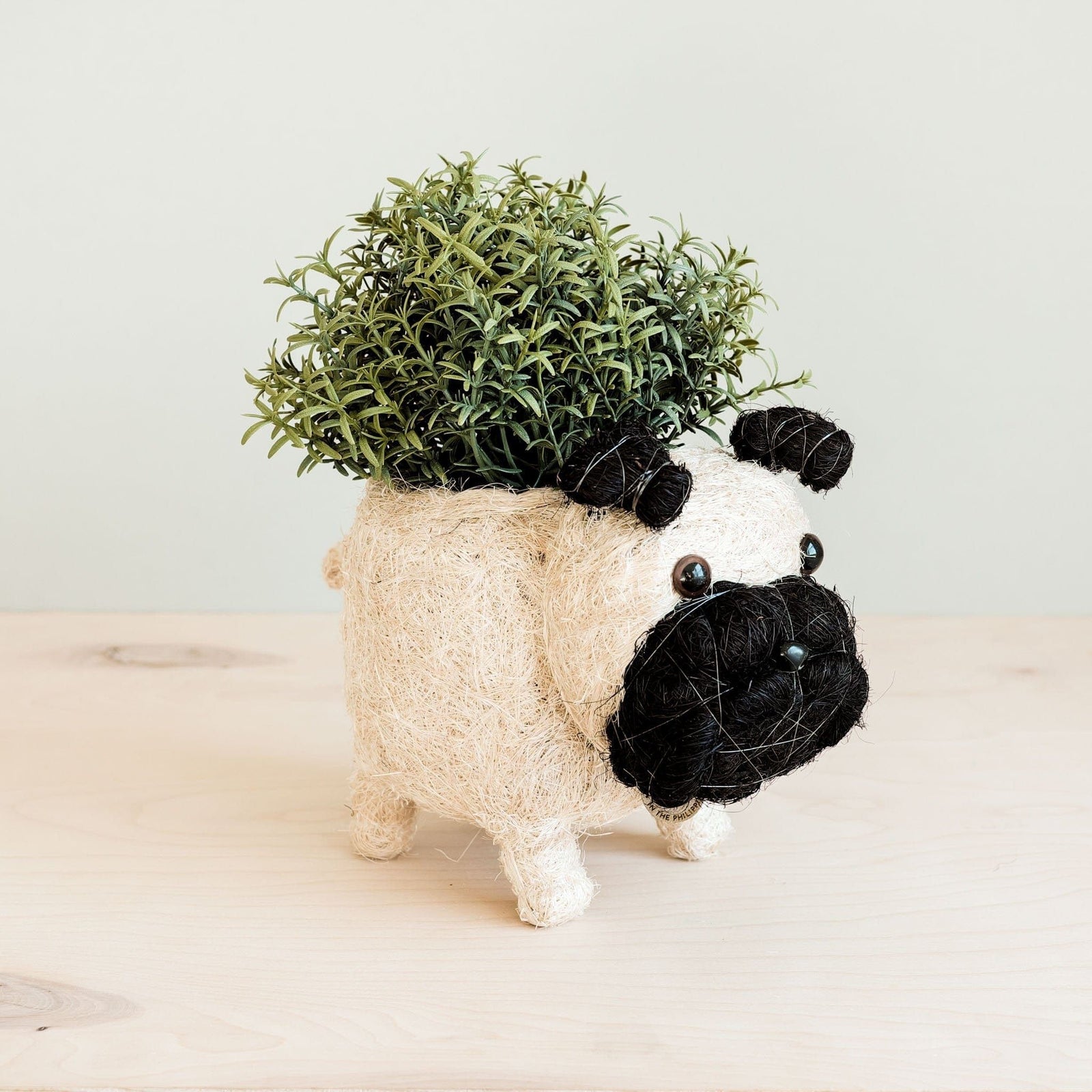 LIKHÂ Pug Planter - Coco Coir Pots | LIKHÂ by LIKHÂ