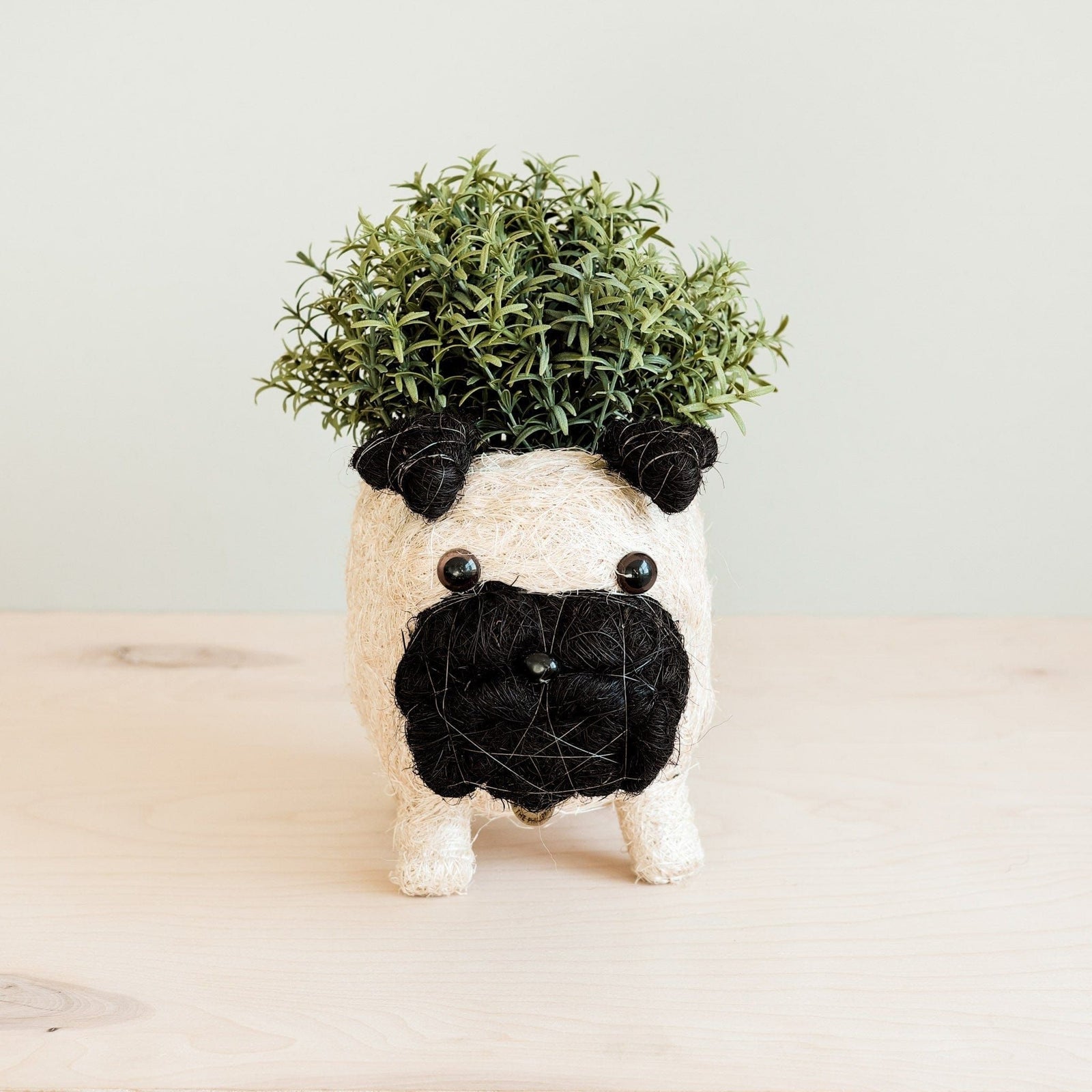 LIKHÂ Pug Planter - Coco Coir Pots | LIKHÂ by LIKHÂ