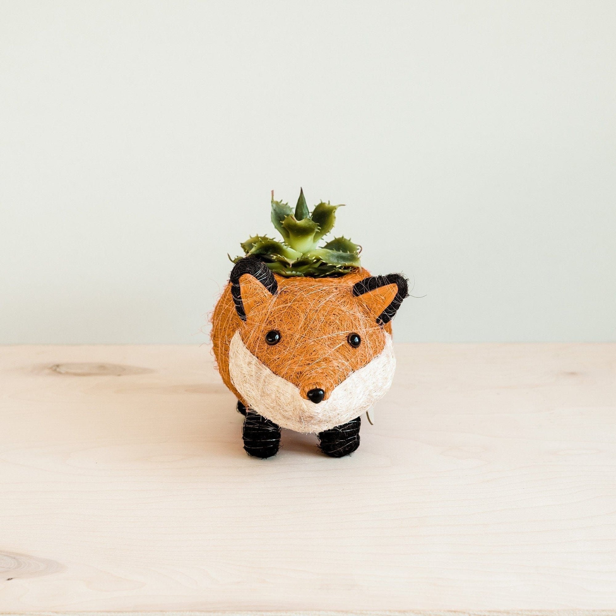 LIKHÂ Baby Fox Planter - Handmade Pot | LIKHÂ by LIKHÂ
