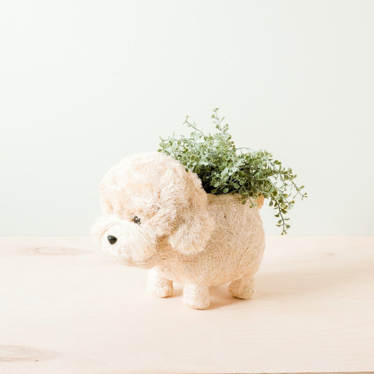 LIKHÂ Poodle Planter - Coco Coir Pots | LIKHÂ by LIKHÂ