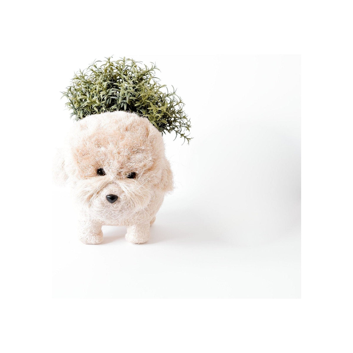 LIKHÂ Poodle Planter - Coco Coir Pots | LIKHÂ by LIKHÂ