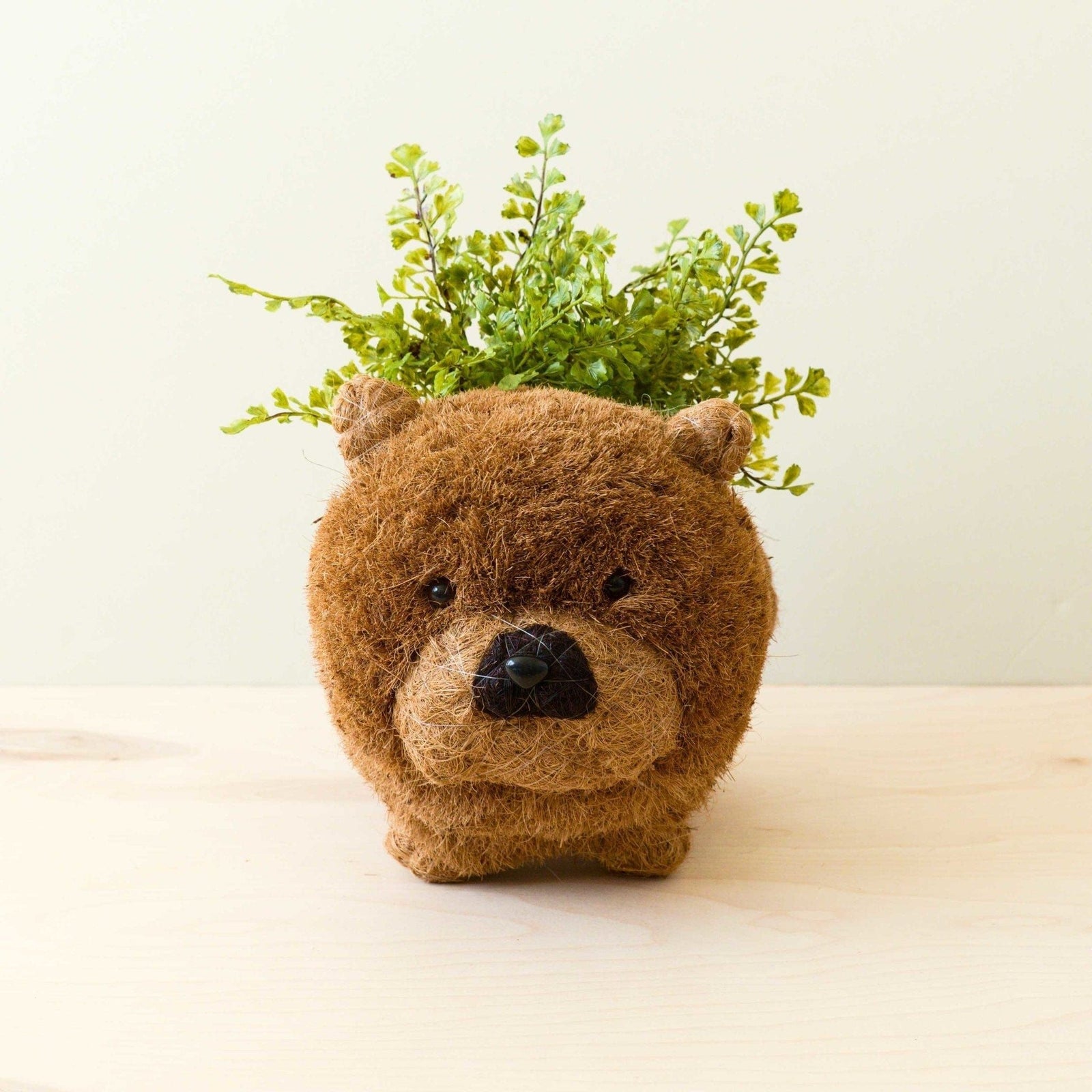 LIKHÂ Chow Chow Planter - Dog Plant Pot | LIKHÂ by LIKHÂ