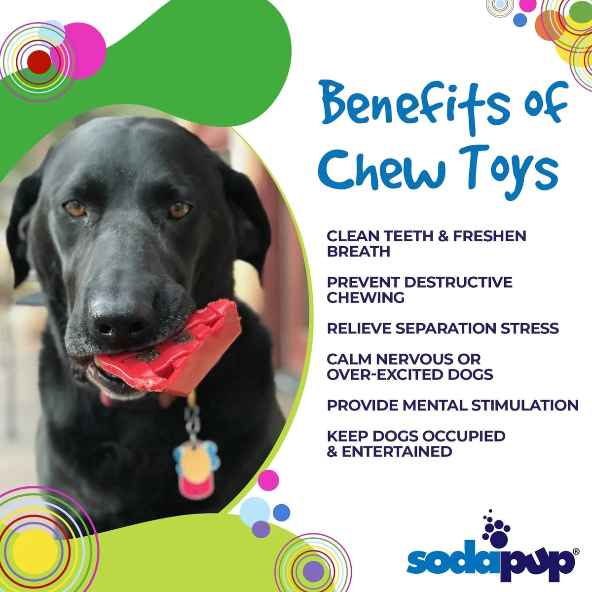 SodaPup/True Dogs, LLC Cherry Pie - Red Cherry Pie Ultra Durable Nylon Dog Chew Toy and Treat Holder by SodaPup/True Dogs, LLC