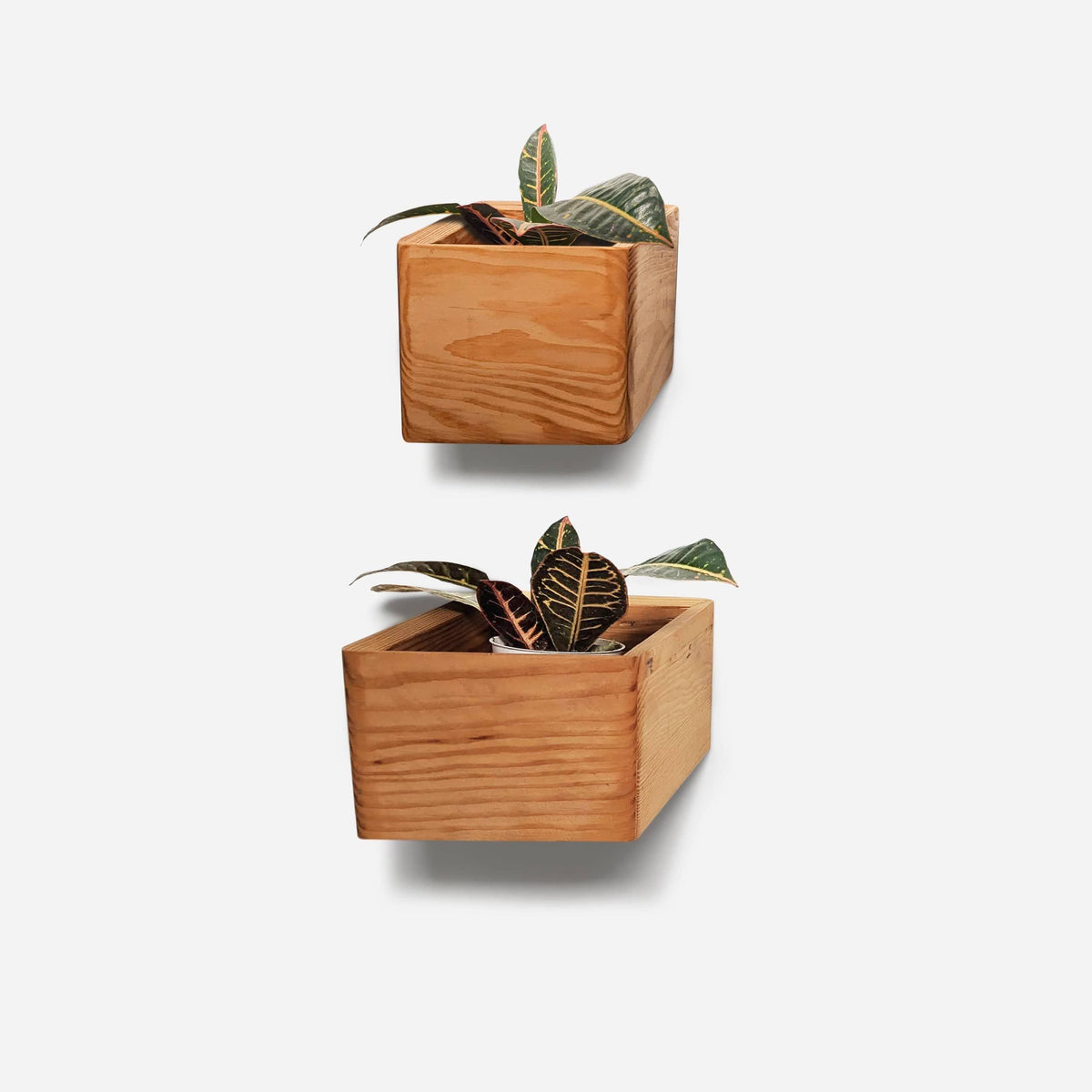 Formr Diamond Self-Watering, Wall-Mounted Planter by Formr