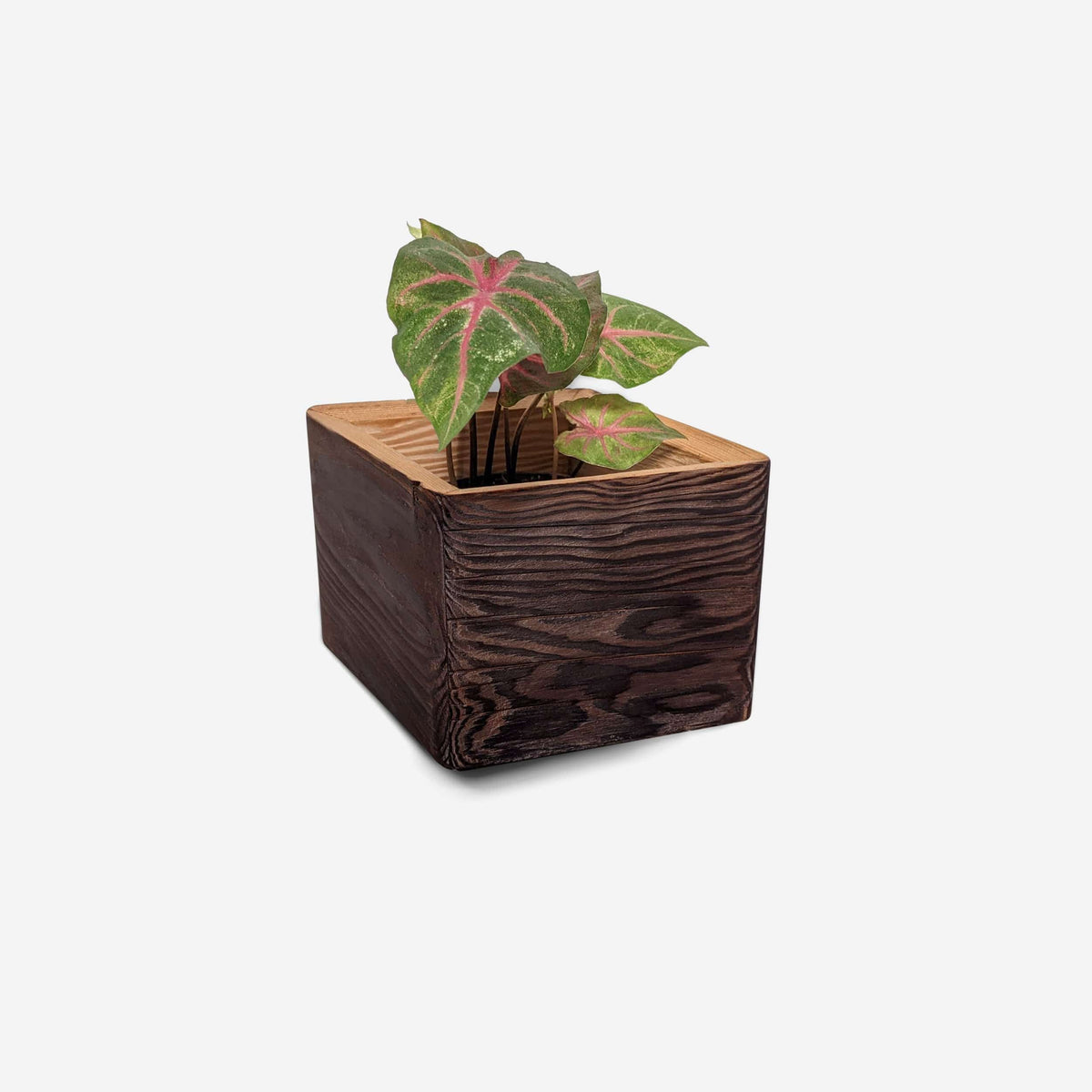 Formr Bling (4&quot; pot) / Brushed brown / One Diamond Self-Watering, Wall-Mounted Planter by Formr