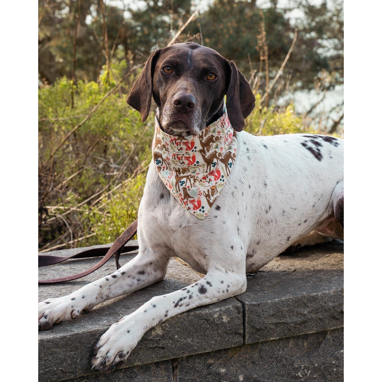 MODERNBEAST Woodland / XS ADVENTURE BANDANA by MODERNBEAST