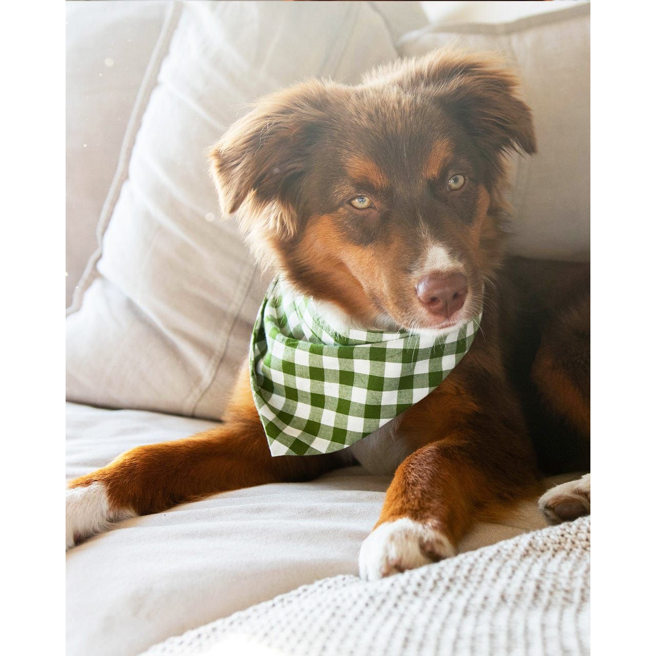 MODERNBEAST Forest Gingham / XS GINGHAM BANDANA by MODERNBEAST