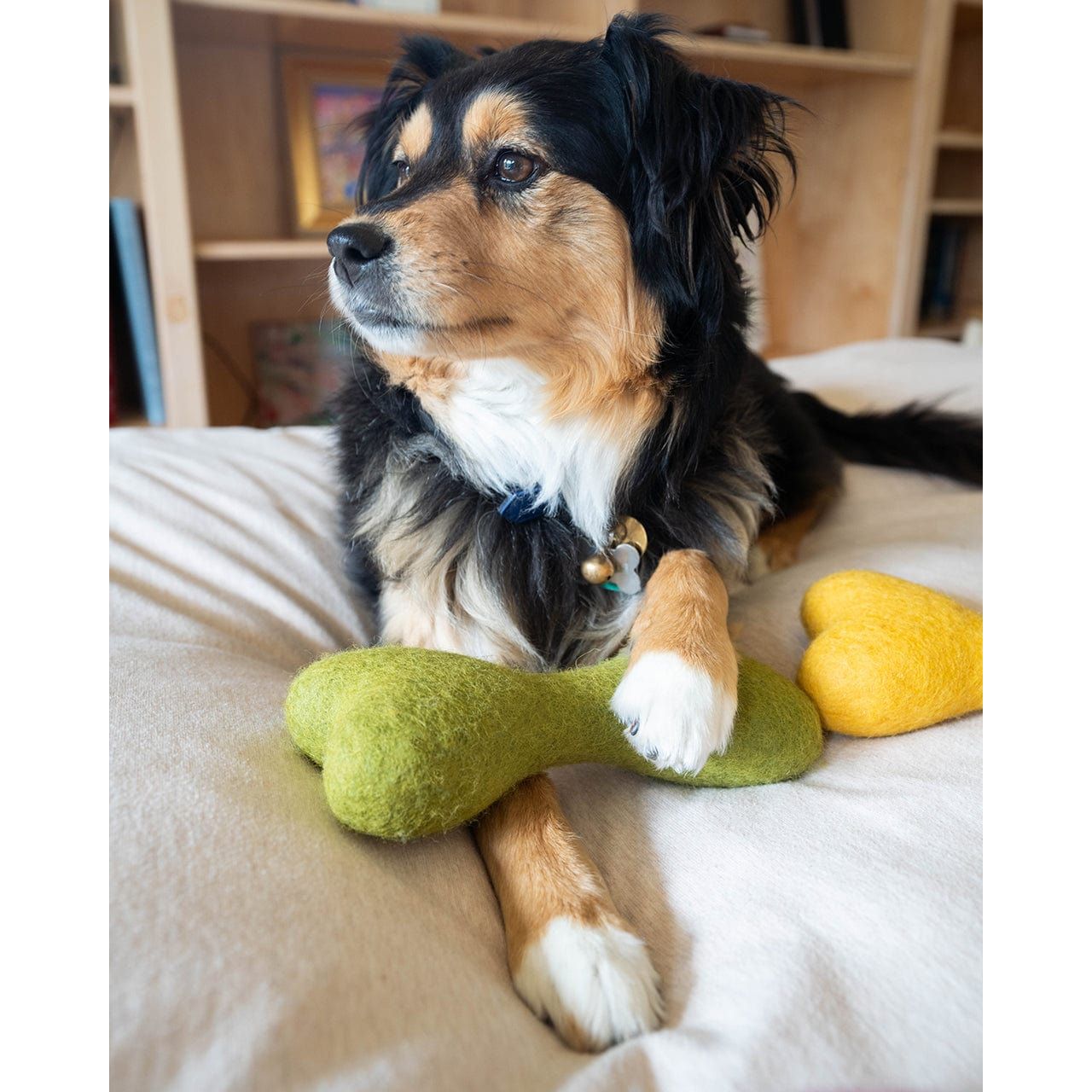 MODERNBEAST Moss / L MB WOOLBONE by MODERNBEAST