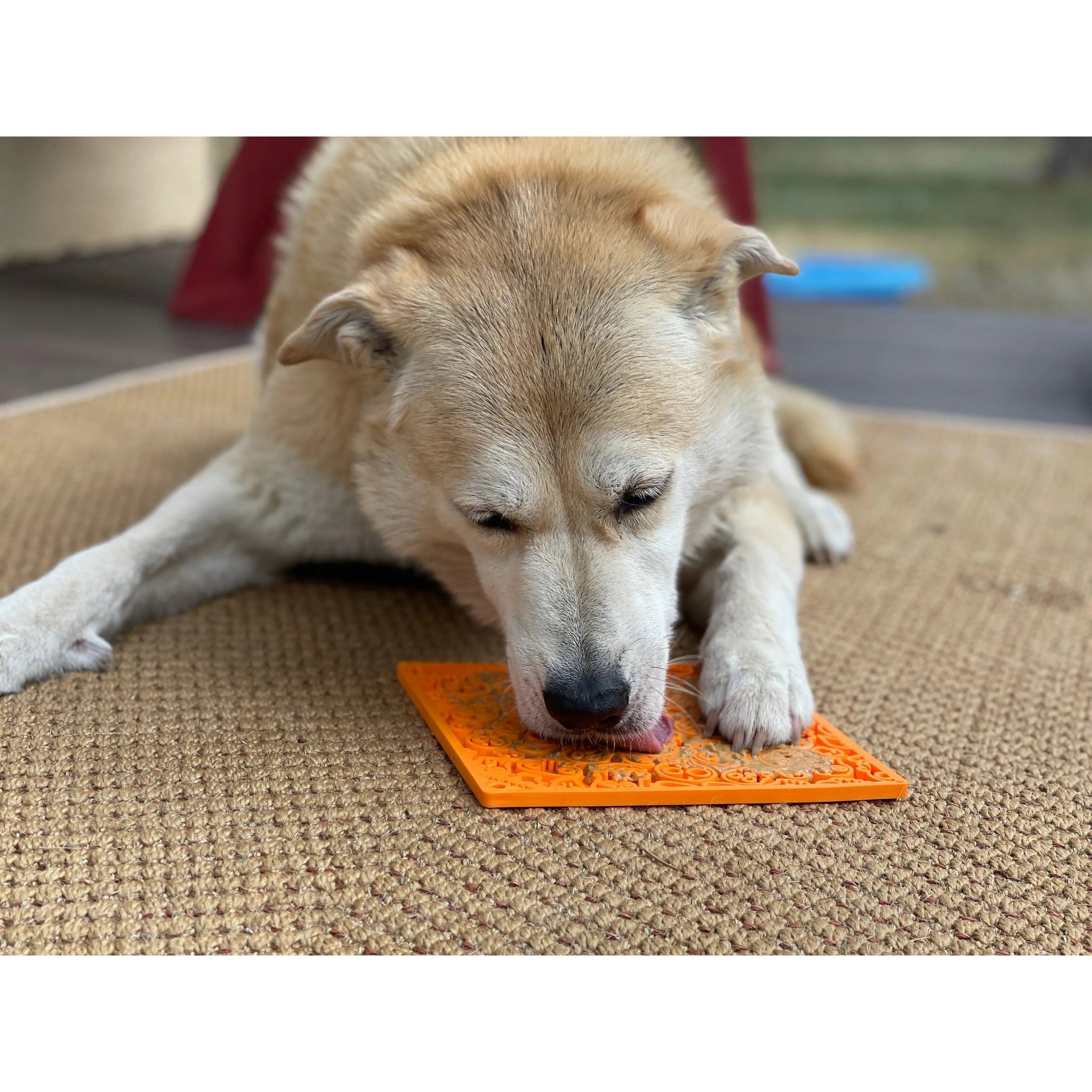 Ice Cream Dog Lick Mat  Calm, Distract, Entertain